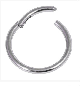 Steel Hinged Segment Conch Ring