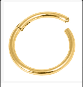 Gold Hinged Segment Ring